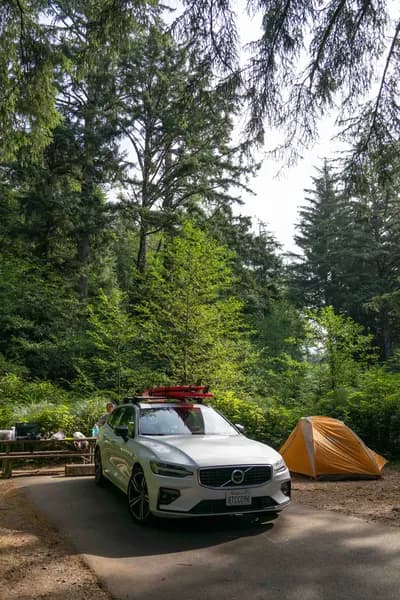 A white Volvo wagon at a campsite in a forest